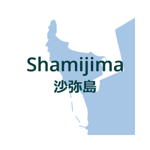 Shamijima 500