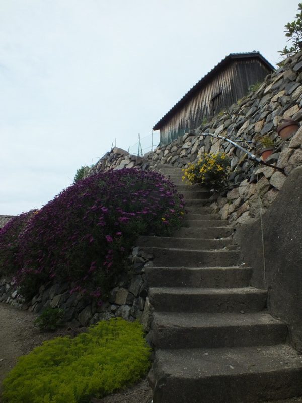 Escaliers sur Ogijima