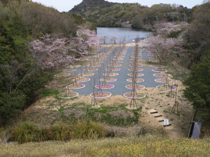4 - Labyrinth of Cherry Blossoms - Tadao Ando