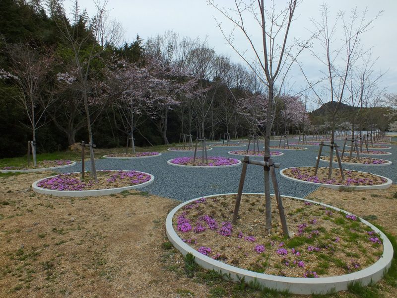 5 - Labyrinth of Cherry Blossoms - Tadao Ando
