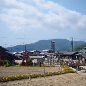 Shodoshima - 24 Prunelles