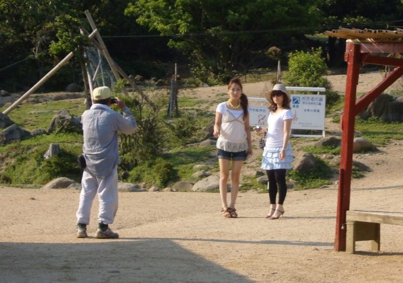 Singes sur Shodoshima