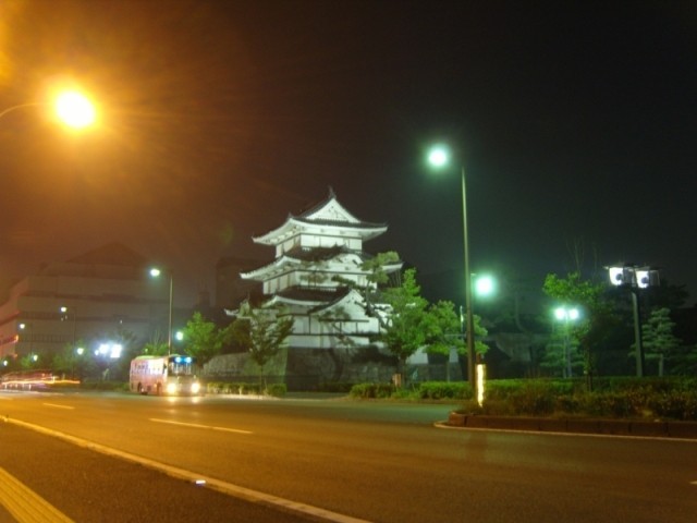 Chateau de Takamatsu la nuit