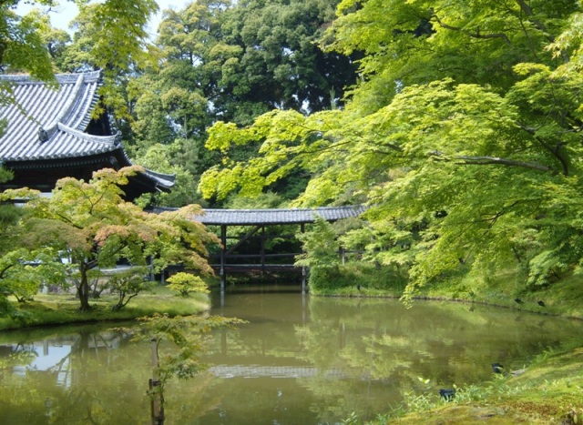 Kodai-ji - Mai 2010 - 11