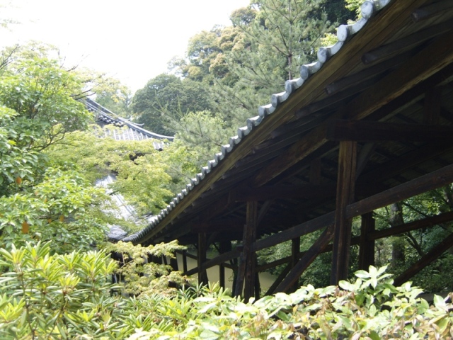 Kodai-ji - Mai 2010 - 15