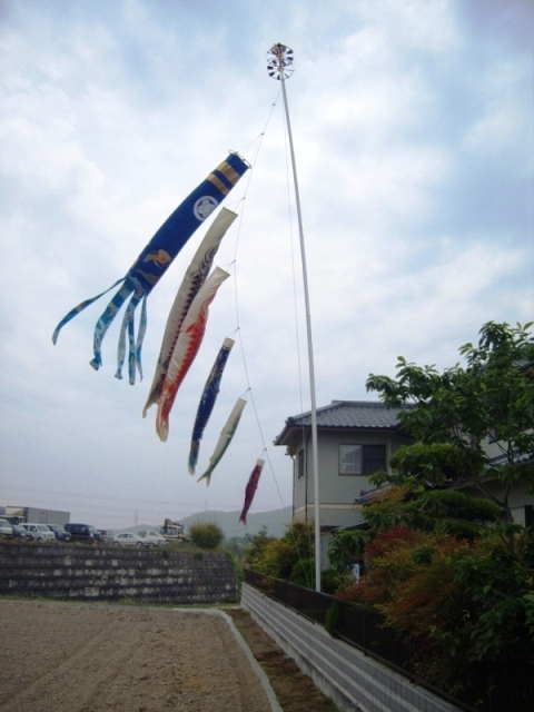 Koinobori - Tango no Sekku