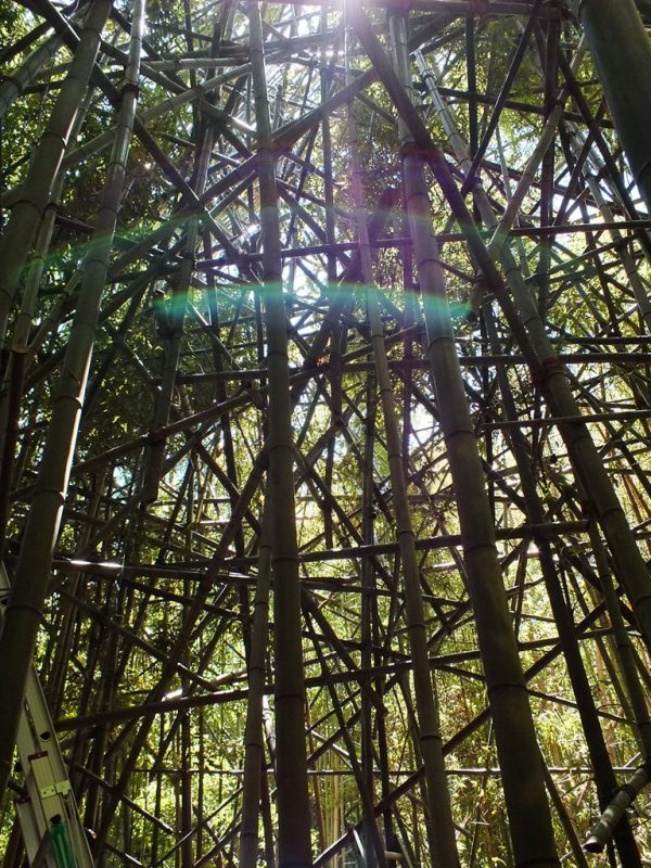Big Bambu Preview - 6