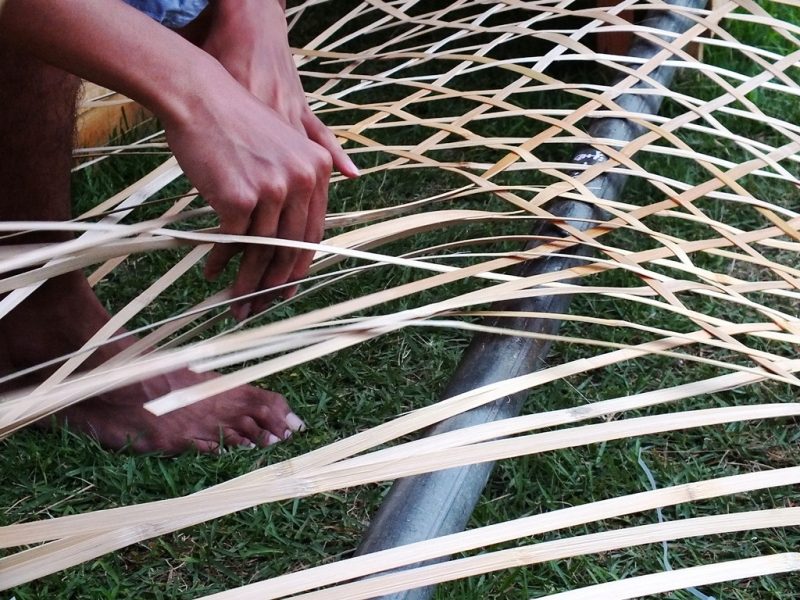 Bengal Island - 28 juillet 2013 - Weaving Weaving - 4