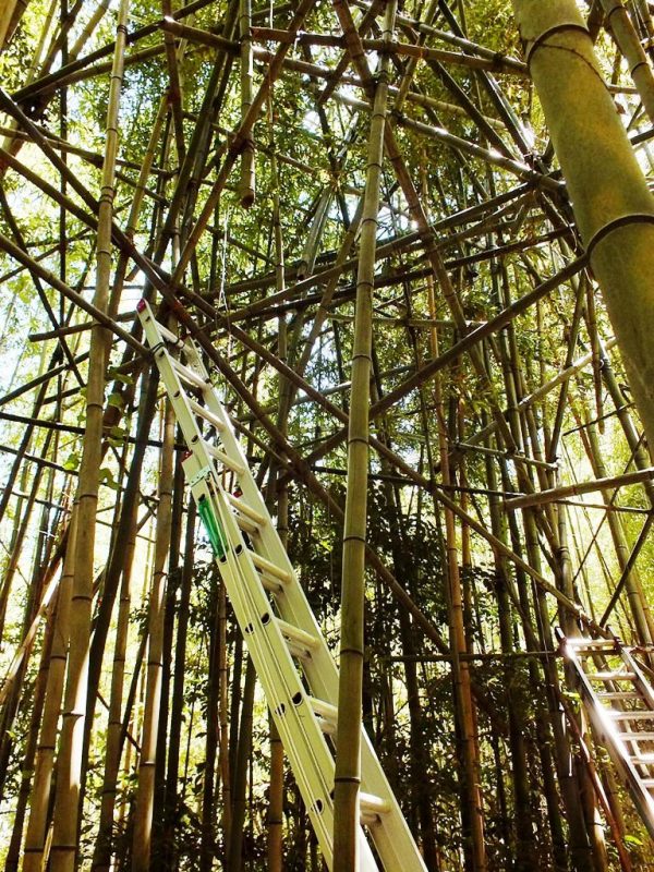Big Bambu Preview