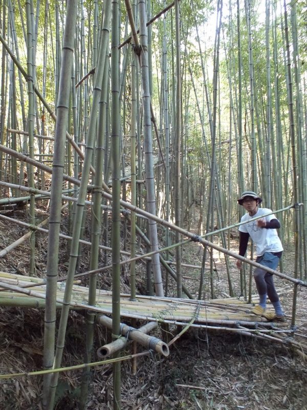 Big Bambu - Teshima - 08