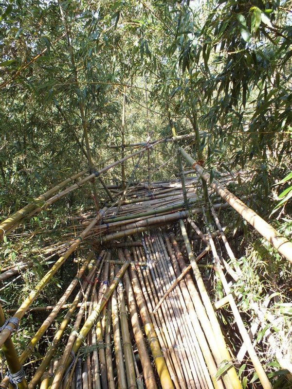 Big Bambu - Teshima - 12