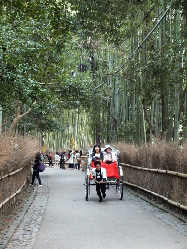 Bambous Arashiyama - 6