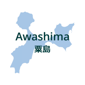 Awashima 500