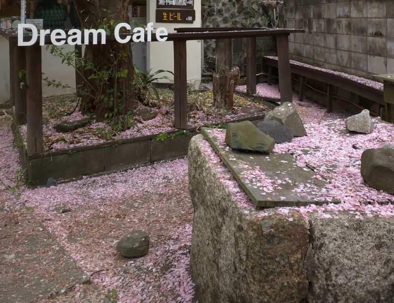 Fin des cerisiers - Dream Cafe - 1