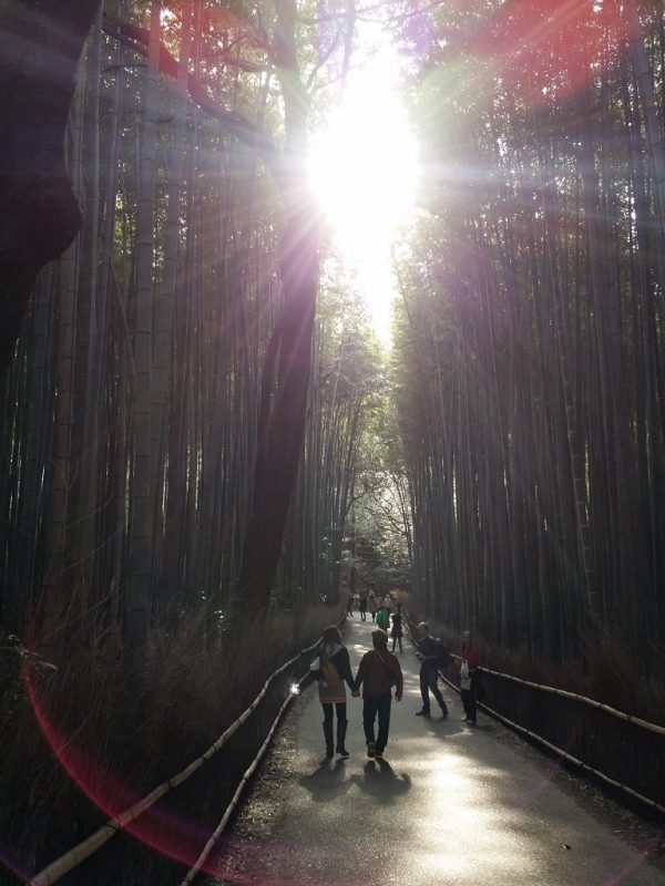 Forêt de Bambous d'Arashiyama